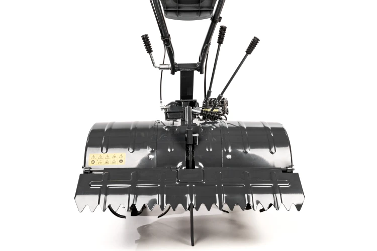 CEDRUSGLX650_05.jpg