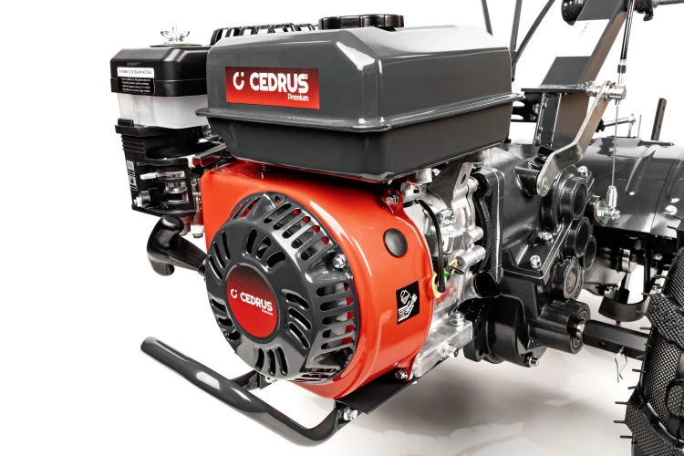 CEDRUSGLX650_08.jpg