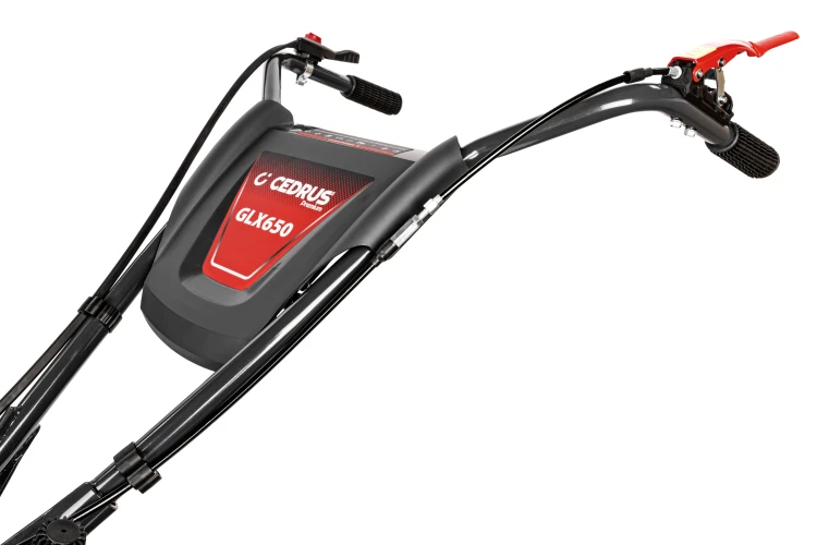 CEDRUSGLX650_16.jpg