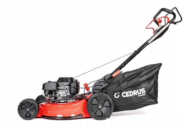 Kosiarka Cedrus Premium z napędem CEDLP53S-L