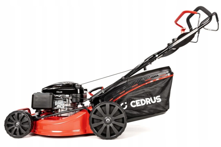 Kosiarka spalinowa Cedrus KS53S-L 53cm Silnik Loncin 196cm3 z napędem